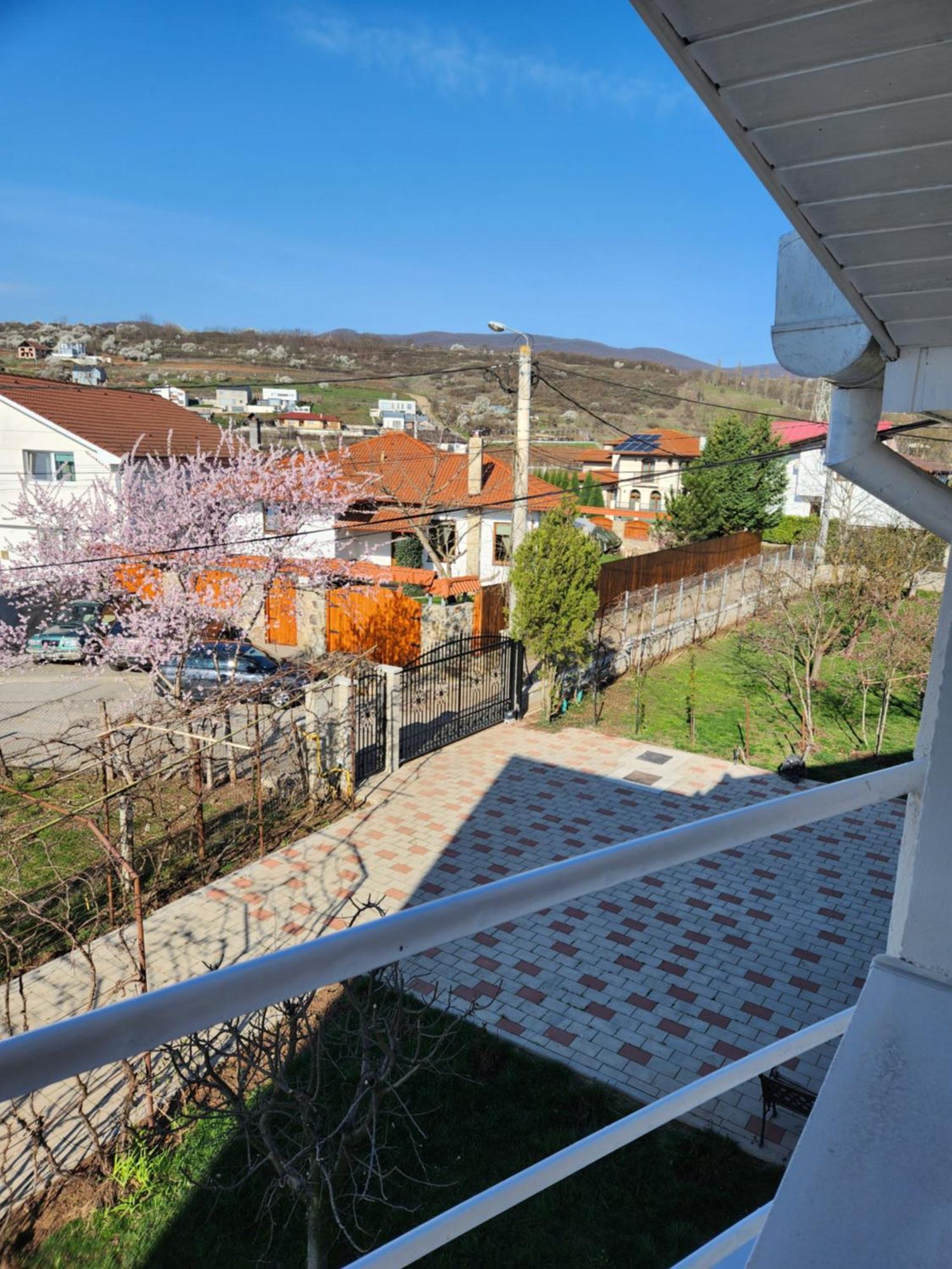 Vila Reghina Apartment Alba Iulia Exterior photo